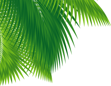 Palm Tree - Background Art