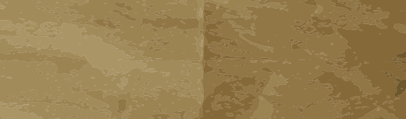 Brown Camoflaughed Background