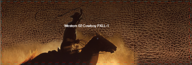 Western 02 Cowboy PXLL-1