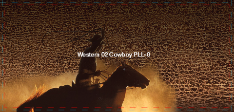 Western 02 Cowboy PLL-0